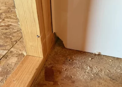 Crack and Chip Repair Service